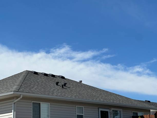 Fast & Reliable Emergency Roof Repairs in Sheldon, TX